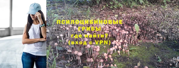 прущие крисы Магас