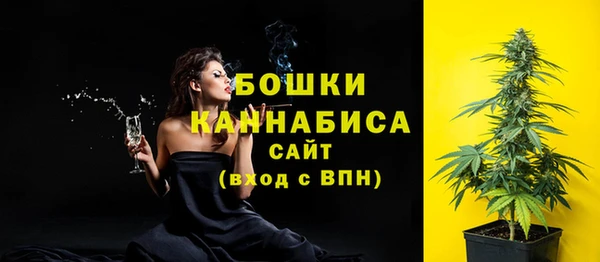 СК Абинск