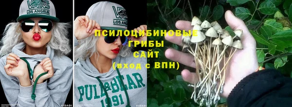 СК Абинск
