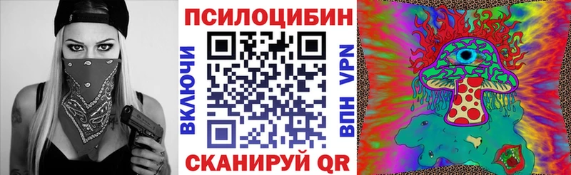 Псилоцибиновые грибы Psilocybine cubensis  купить   MEGA онион  Холмск 